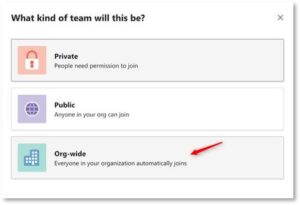 Organization-wide team