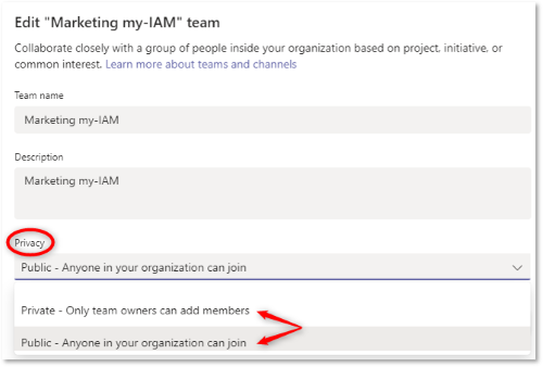 Change privacy: public and private team